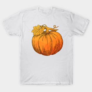 Pumpkin Time T-Shirt